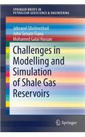 Challenges in Modelling and Simulation of Shale Gas Reservoirs