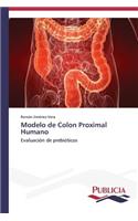 Modelo de Colon Proximal Humano