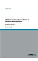 Schicksal von Umweltchemikalien im menschlichen Organismus
