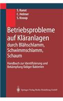 Betriebsprobleme Auf Kläranlagen Durch Blähschlamm, Schwimmschlamm, Schaum