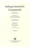 Indogermanische Grammatik / Band IV
