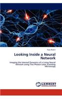 Looking Inside a Neural Network