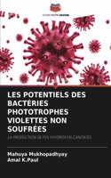 Les Potentiels Des Bactéries Phototrophes Violettes Non Soufrées