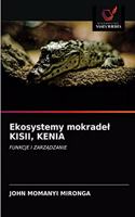 Ekosystemy mokradel KISII, KENIA