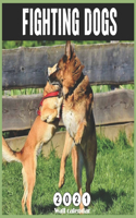 Fighting Dogs 2021 calendar