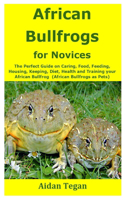 African Bullfrogs for Novices