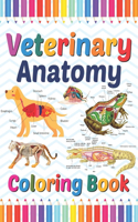 Veterinary Anatomy Coloring Book