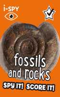 I-Spy Fossils and Rocks