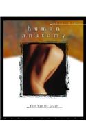 Human Anatomy