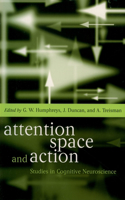 Attention, Space, and Action