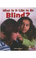 What Is It Like to Be Blind?