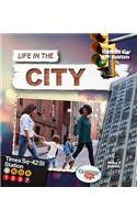 Life in the City