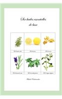 Six huiles essentielles de base