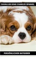 Cavaller King Charles Spaniel Persönlicher Ratgeber: 120 Seiten liniert in ca. A5 Softcover - Perfekt als Notizbuch für alle Hunde Fans, Hundeliebhaber zum Hundetraining