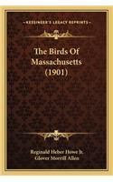 Birds of Massachusetts (1901)