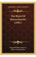 The Birds of Massachusetts (1901)
