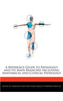 A Reference Guide to Pathology and Its Main Branches Including Anatomical and Clinical Pathology