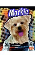 Morkie