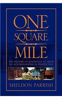 One Square Mile: The History of Roosevelt Ny from a Autobiographical Perspective