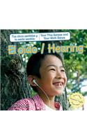 El Oído / Hearing