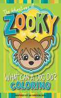 Adventures of Zooky the Terrier