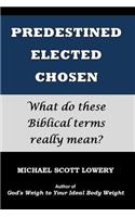 Predestined - Elected - Chosen