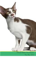 Oriental Bicolor Cat Presents: Cat Facts Workbook. Oriental Bicolor Cat Presents Cat Facts Workbook with Self Therapy, Journalling, Productivity Tracker with Self Therapy, Journalling, Productivity Tracker Workbook. Includes: Space for Notes, to Do