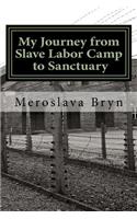 My Journey from Slave Labor Camp to Sanctuary