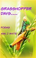 Grasshopper Days and Firefly Nights: a book of poems(English)
