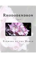 Rhododendron Notebook: Notebook with 150 lined pages