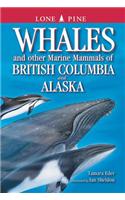 Whales and Other Marine Mammals of British Columbia and Alaska
