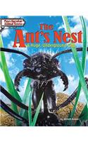 Ant's Nest