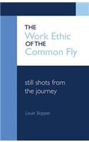 The Work Ethic of the Common Fly: Still Shots from the Journey