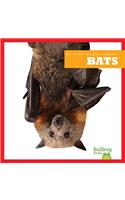 Bats: (My First Animal Library)