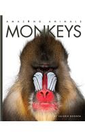 Amazing Animals: Monkeys: (Amazing Animals)