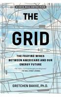 The Grid: The Fraying Wires Between Americans and Our Energy Future