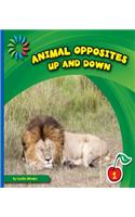 Up and Down: (21st Century Basic Skills Library: Animal Opposites)