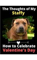 The Thoughts of My Staffy