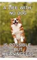 A life with no dog is possible but meaningless