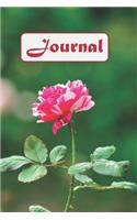 Journal