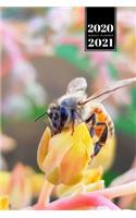 Bee Insects Beekeeping Beekeeper Week Planner Weekly Organizer Calendar 2020 / 2021 - Succulent Flower at Sundown