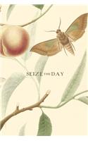 Seize the Day: Inspiring Quote Gift Notebook, Wide Ruled, 100 pages