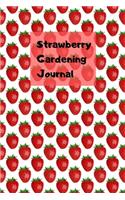 Strawberry Gardening