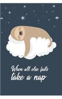 When All Else Fails Take a Nap