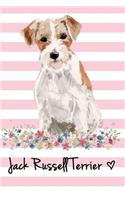 Jack Russell Terrier