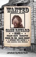 Labradoodle Dog Wanted Poster