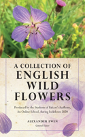 Collection of English Wild Flowers