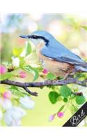 Bird Notebook Collection