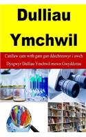 Dulliau Ymchwil