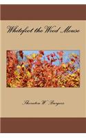 Whitefoot the Wood Mouse